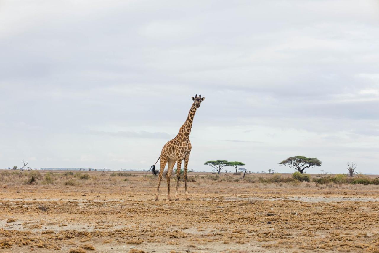 Wild Amboseli Ndovu Cottage. Buitenkant foto