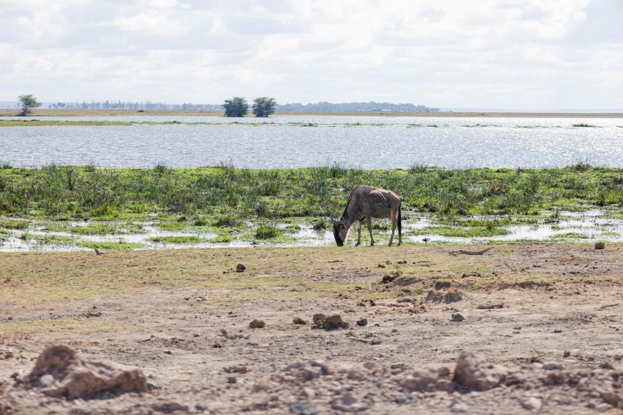 Wild Amboseli Ndovu Cottage. Buitenkant foto