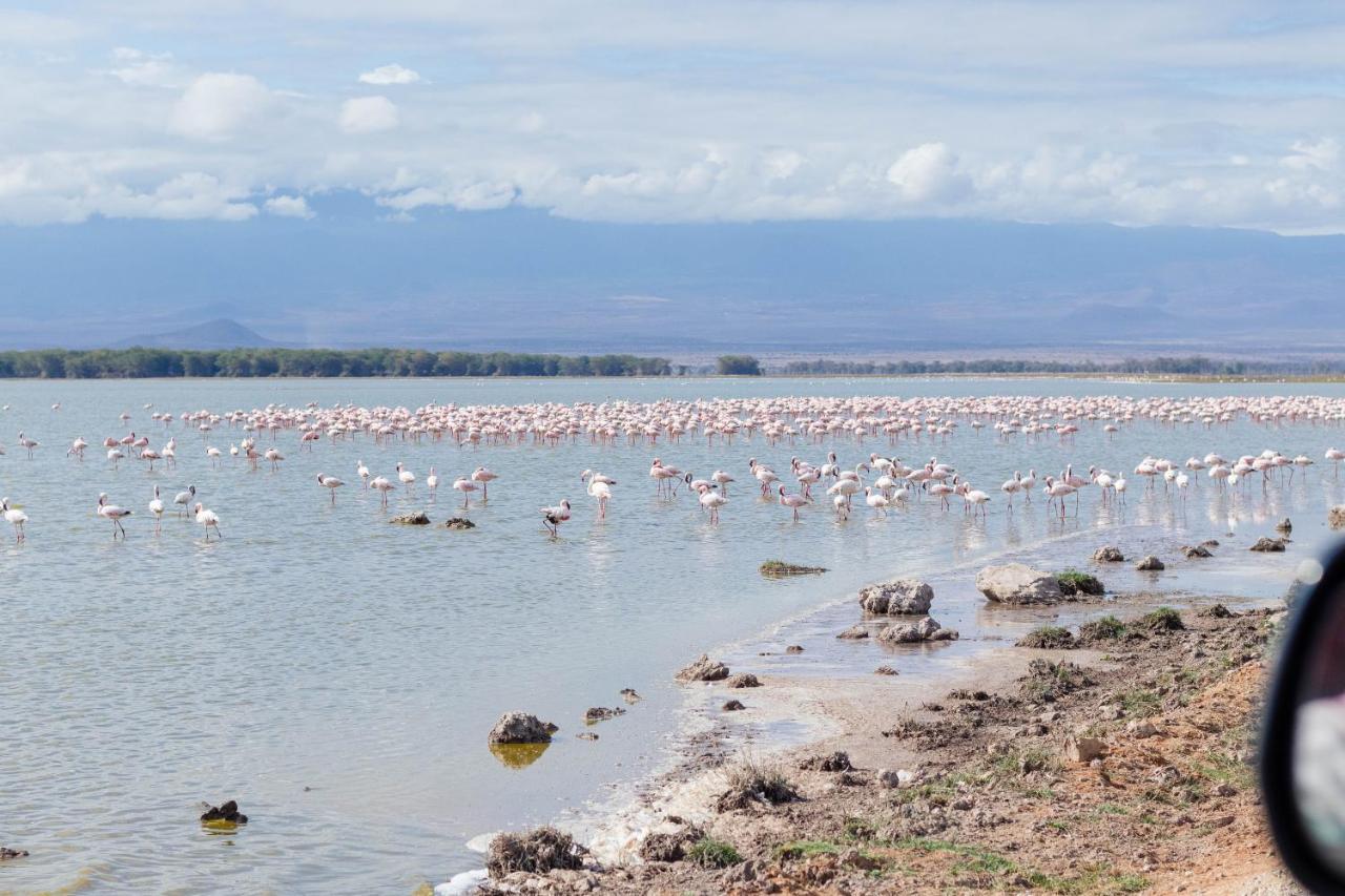 Wild Amboseli Ndovu Cottage. Buitenkant foto