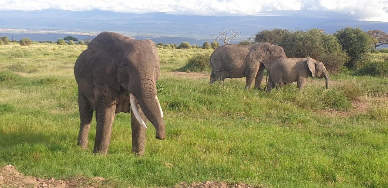 Wild Amboseli Ndovu Cottage. Buitenkant foto