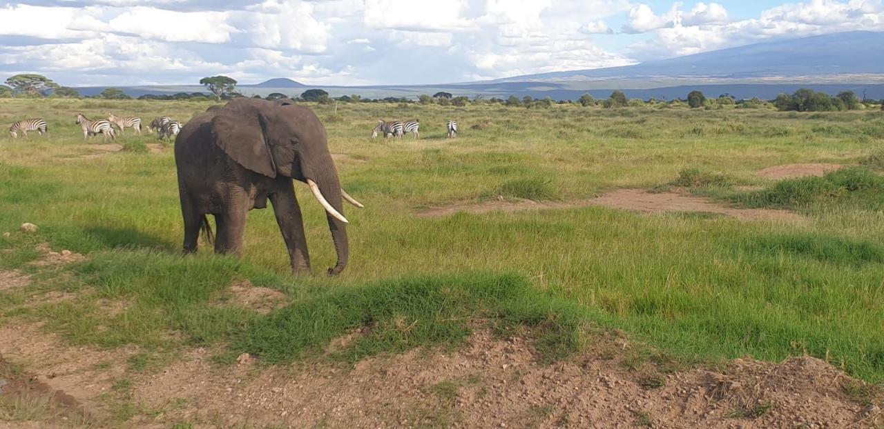 Wild Amboseli Ndovu Cottage. Buitenkant foto
