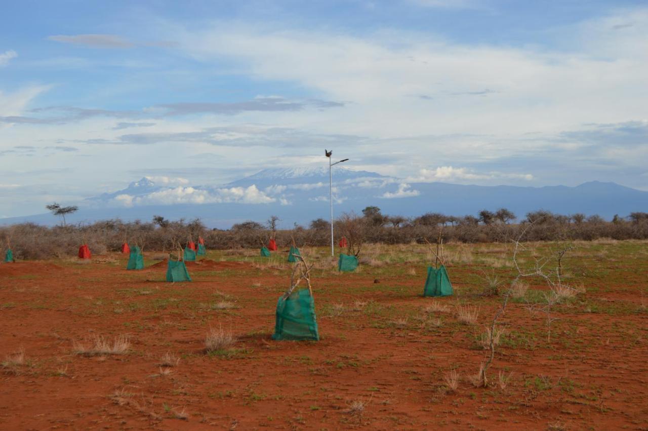 Wild Amboseli Ndovu Cottage. Buitenkant foto