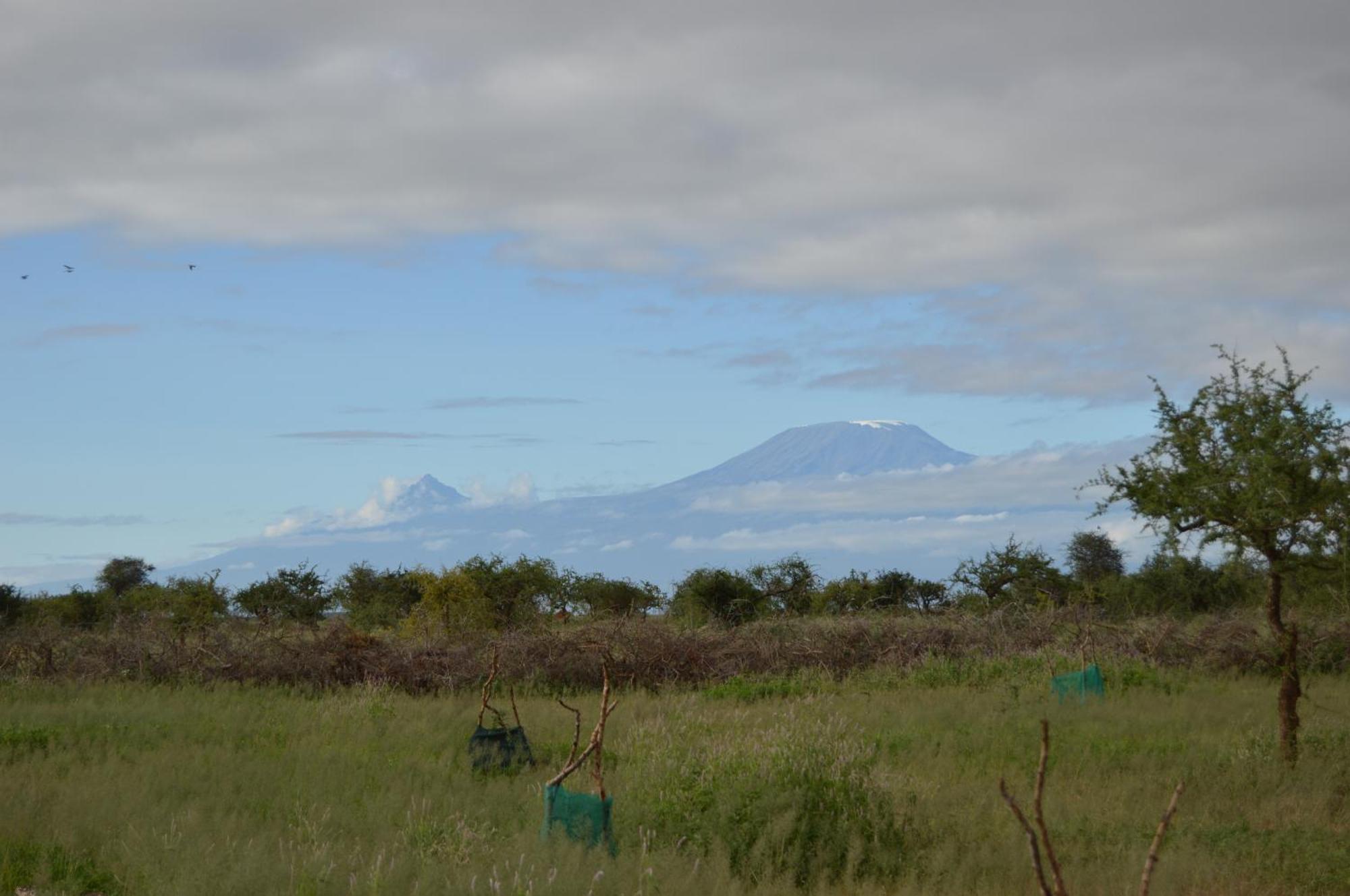 Wild Amboseli Ndovu Cottage. Buitenkant foto